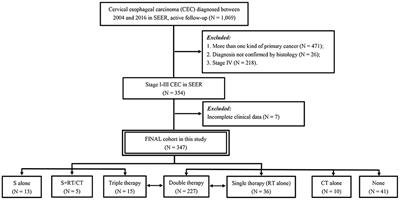 Long-Term Survival Outcomes and Comparison of Different Treatment Modalities for Stage I-III Cervical Esophageal Carcinoma